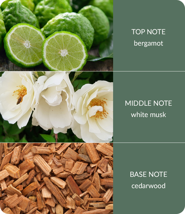 Cedarwood-White-Musk.jpg